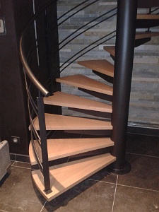 INTERIEUR ESCALIER  (34)